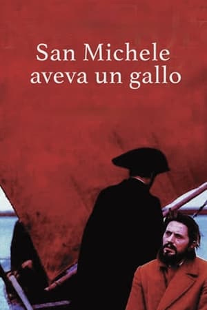 San Michele aveva un gallo